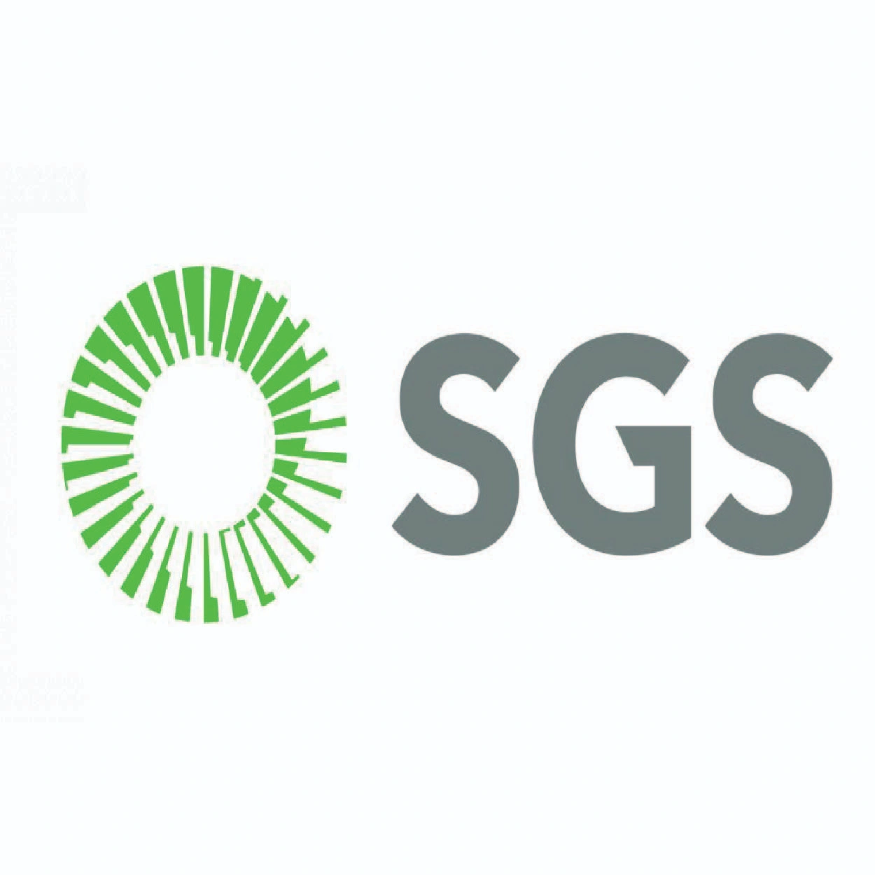 الشركة السعودية للخدمات الارضية